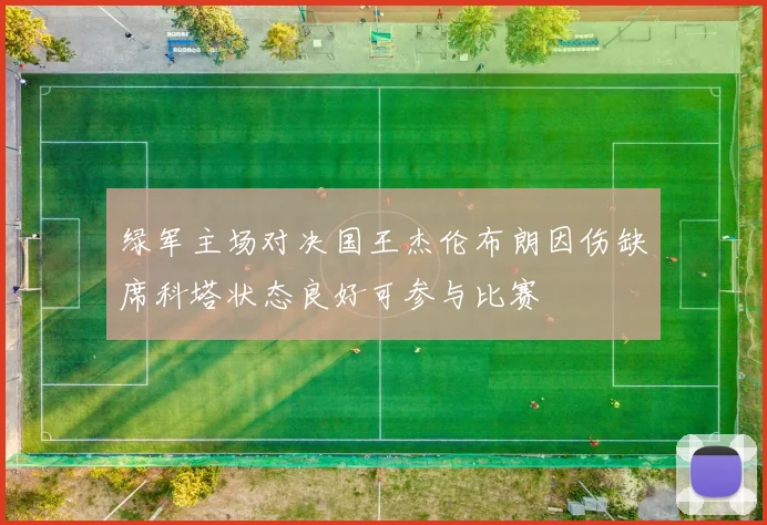 绿军主场对决国王杰伦布朗因伤缺席科塔状态良好可参与比赛